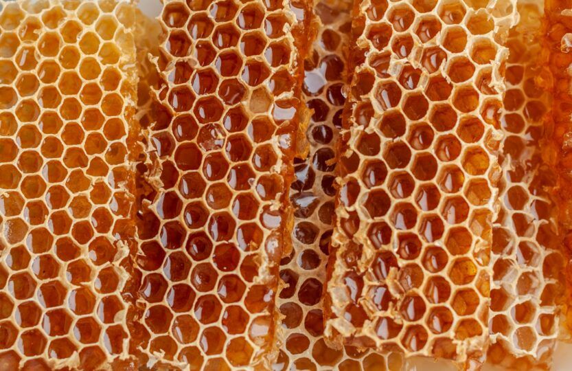 Les bienfaits des produits issus de l'apiculture